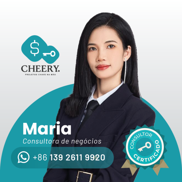 Consultora de Negócios Maria